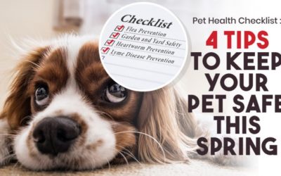 Pet Health Checklist: 4 Tips to Keep Your Pet Safe This Spring