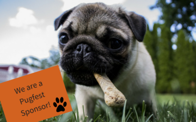 We are a Pugfest Sponsor