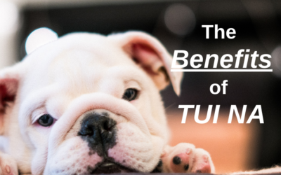 The Benefits of Tui Na