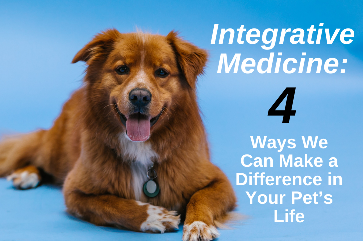 image of integrative medicine