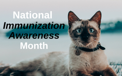 National Immunization Awareness Month at Magnolia Springs Veterinary Clinic