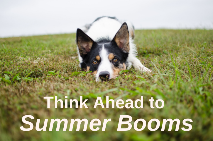 Think Ahead to Summer Booms