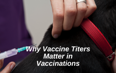 Why Vaccine Titers Matter in Vaccinations