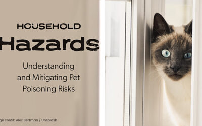 Household Hazards: Understanding and Mitigating Pet Poisoning Risks