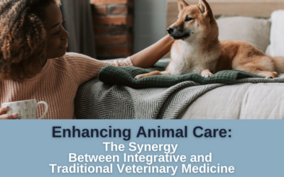 Enhancing Animal Care: The Synergy Between Integrative and Traditional Veterinary Medicine